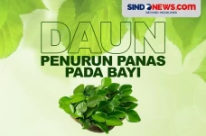 7 Daun Berkhasiat Turunkan...