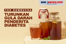 Khasiat Teh Kombucha,...