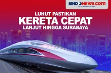 Luhut Panjaitan pastikan...