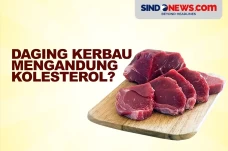 Daging Kerbau Mengandung...