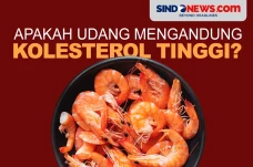 Apakah Udang Mengandung...