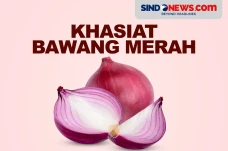 Dibuktikan oleh Al Quran...