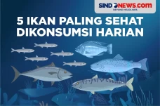 5 Ikan Paling Sehat...