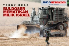 Teddy Bear, Buldoser...