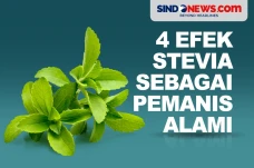 4 Efek Stevia sebagai...