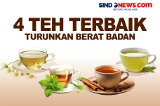 4 Teh Terbaik Menurunkan...