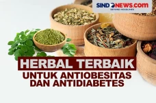 Herbal Terbaik untuk...