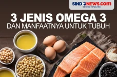 Mengenal 3 Jenis Omega...