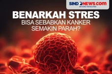 Benarkah Faktor Stres...
