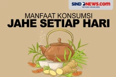 Manfaat Konsumsi Jahe...