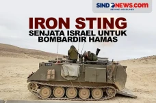 Iron Sting, Senjata...