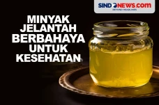 Penggunaan Minyak Jelantah...