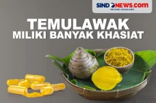 Temulawak Miliki Banyak...