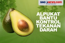 Manfaat Alpukat, Bisa...