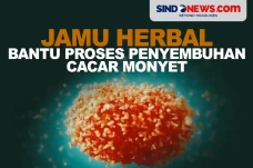 Jamu Herbal yang Bisa...