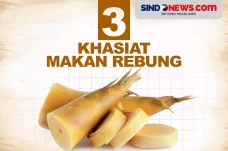 3 Manfaat Makan Rebung,...