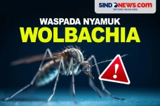 Berpotensi Jadi Pandemi...