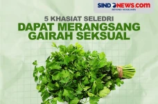 5 Khasiat Seledri, Bisa...