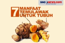 7 Manfaat Temulawak,...