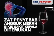 Ilmuwan Temukan Zat...