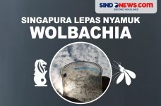 Perangi Demam Berdarah,...