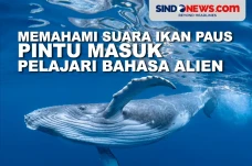 Memahami Suara Ikan...