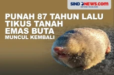 Punah 87 Tahun Lalu,...