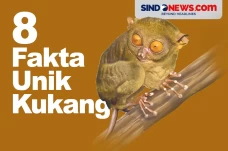 Lebih Suka Dunia Malam,...