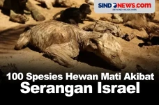 100 Spesies Hewan Mati...