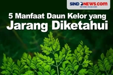 Kaya Nutrisi, Berikut...