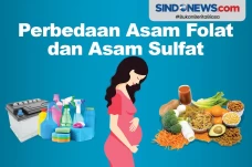 Perbedaan Asam Folat...