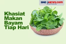 5 Khasiat Makan Bayam...