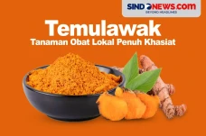 Temulawak, Tanaman Obat...