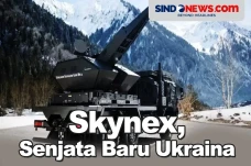 Skynex, Senjata Ukraina...