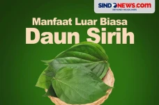10 Penyakit yang Dapat...