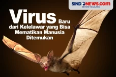 Bisa Mematikan Manusia,...