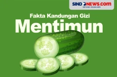 Apakah Timun Bisa Menurunkan...