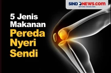5 Makanan Pereda Nyeri...