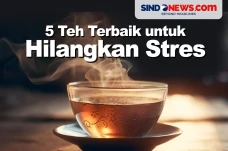 Wajib Dicoba, Berikut...