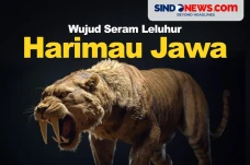 Memiliki Taring Tajam,...