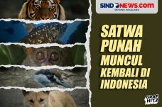 Satwa-satwa yang Dianggap...
