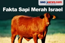 Membuat Dunia Ketakutan,...