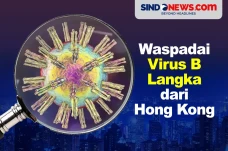 Waspadai Gejalanya Virus...