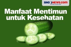 Baik Dikonsumsi Tiap...