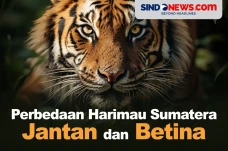 Jangan Salah, Ini Perbedaan...