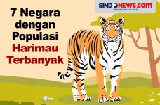 Ada Indonesia, Berikut...