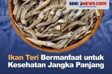 Ikan Teri Bermanfaat...