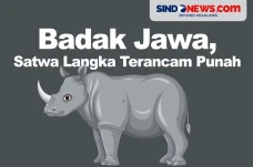 Badak Jawa, Satwa Langka...