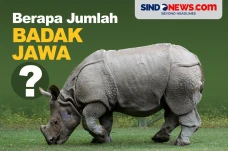 Terancam Punah, Berapa...