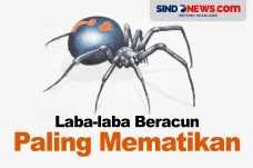 Bisa Membunuh Manusia,...